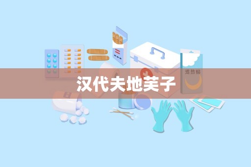汉代夫地芙子