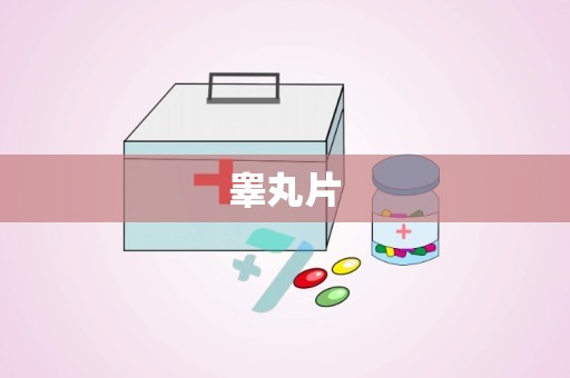 睾丸片