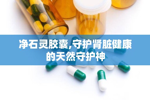 净石灵胶囊,守护肾脏健康的天然守护神