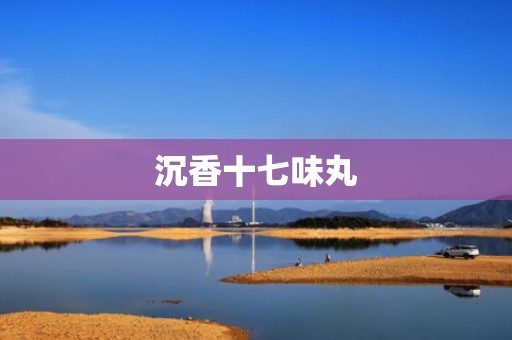 沉香十七味丸