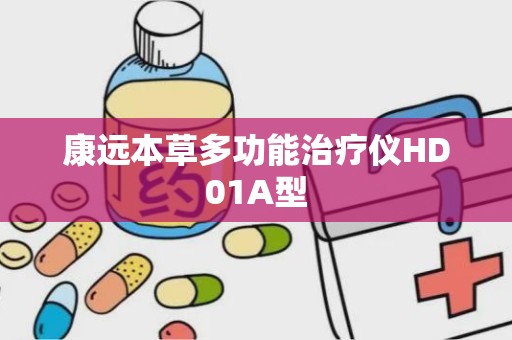 康远本草多功能治疗仪HD01A型