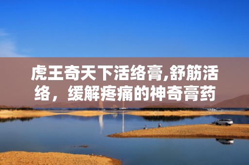 虎王奇天下活络膏,舒筋活络，缓解疼痛的神奇膏药