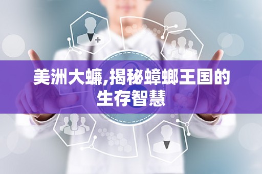 美洲大蠊,揭秘蟑螂王国的生存智慧