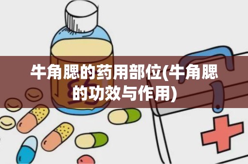 牛角腮的药用部位(牛角腮的功效与作用)