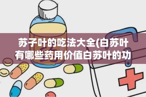 苏子叶的吃法大全(白苏叶有哪些药用价值白苏叶的功效与作用)