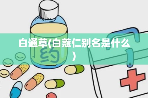 白通草(白蔻仁别名是什么)