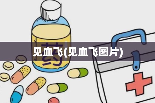 见血飞(见血飞图片)