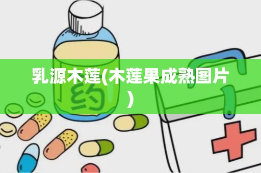 乳源木莲(木莲果成熟图片)