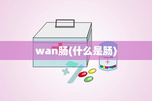 wan肠(什么是肠)