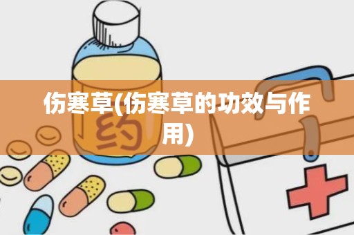 伤寒草(伤寒草的功效与作用)