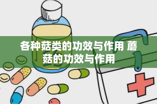 各种菇类的功效与作用 蘑菇的功效与作用