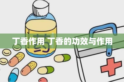 丁香作用 丁香的功效与作用