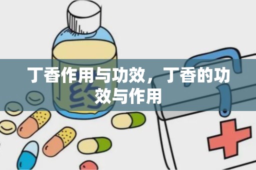 丁香作用与功效，丁香的功效与作用