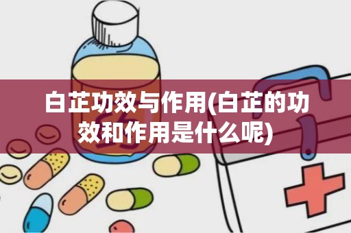 白芷功效与作用(白芷的功效和作用是什么呢)