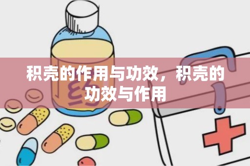 积壳的作用与功效，积壳的功效与作用