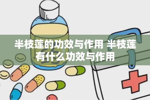 半枝莲的功效与作用 半枝莲有什么功效与作用