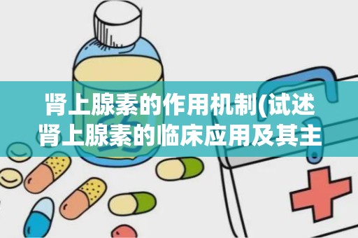 肾上腺素的作用机制(试述肾上腺素的临床应用及其主要作用机制)