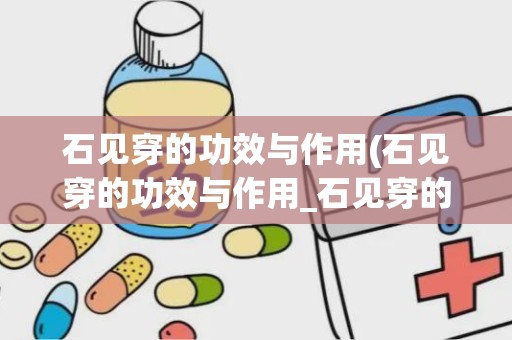 石见穿的功效与作用(石见穿的功效与作用_石见穿的药用价值)