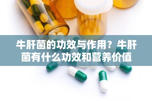 牛肝菌的功效与作用？牛肝菌有什么功效和营养价值