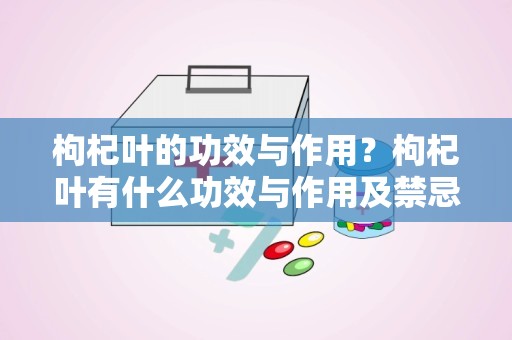 枸杞叶的功效与作用？枸杞叶有什么功效与作用及禁忌