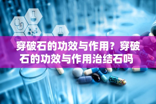 穿破石的功效与作用？穿破石的功效与作用治结石吗 穿破石泡水喝可以保肝吗