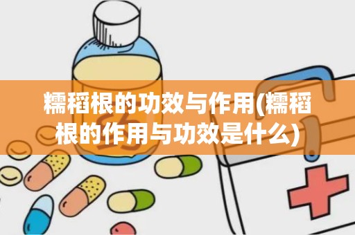 糯稻根的功效与作用(糯稻根的作用与功效是什么)