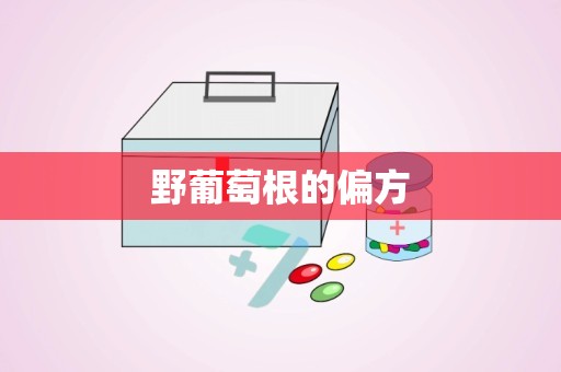 野葡萄根的偏方