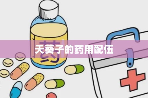 天葵子的药用配伍