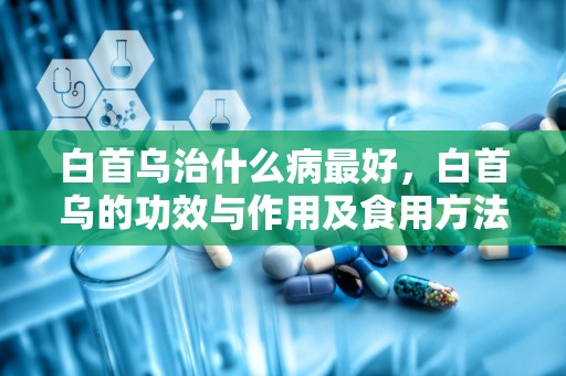 白首乌治什么病最好，白首乌的功效与作用及食用方法