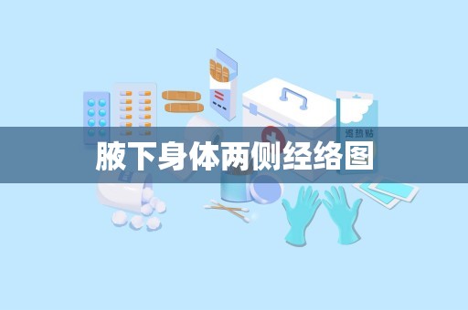 腋下身体两侧经络图