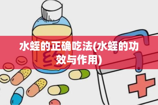 水蛭的正确吃法(水蛭的功效与作用)