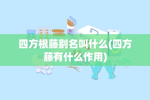 四方根藤别名叫什么(四方藤有什么作用)