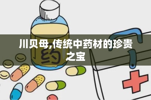 川贝母,传统中药材的珍贵之宝