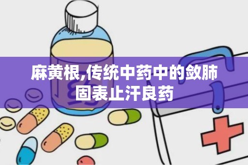 麻黄根,传统中药中的敛肺固表止汗良药