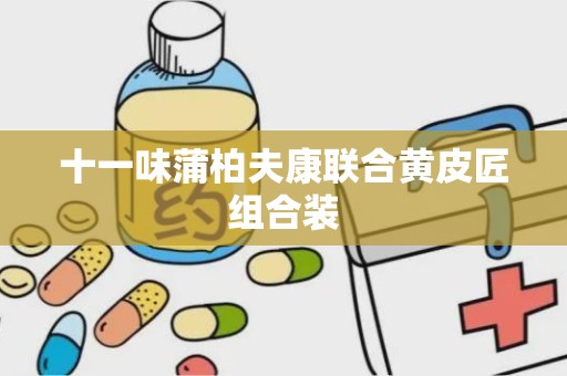 十一味蒲柏夫康联合黄皮匠组合装