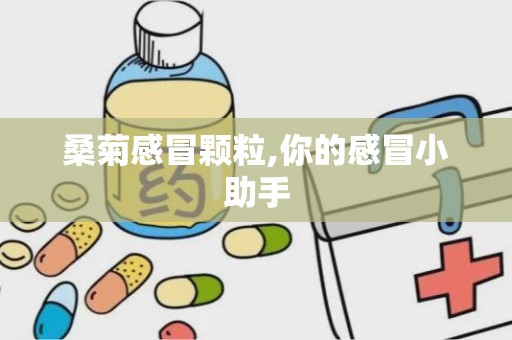 桑菊感冒颗粒,你的感冒小助手