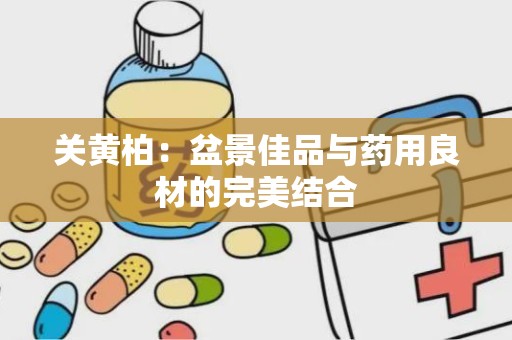 关黄柏：盆景佳品与药用良材的完美结合