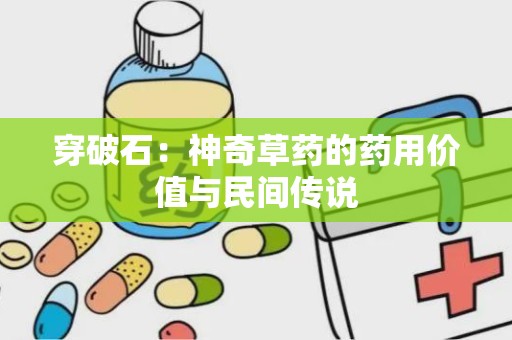 穿破石：神奇草药的药用价值与民间传说