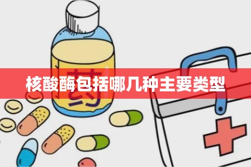 核酸酶包括哪几种主要类型